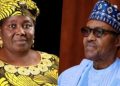 Buhari Appoints New Fiiro DG