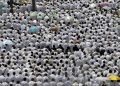 Board gives ultimatum to Pilgrims