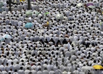 Board gives ultimatum to Pilgrims