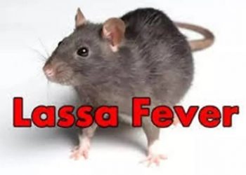 NCDC Reveals That 723 Cases of Lassa Fever are Being Managed