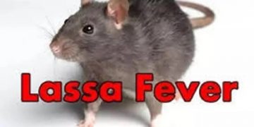NCDC Reveals That 723 Cases of Lassa Fever are Being Managed