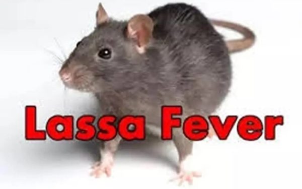 NCDC Reveals That 723 Cases of Lassa Fever are Being Managed