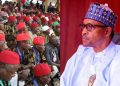 Ohanaeze calls on Buhari to Save Nigeria’s democracy