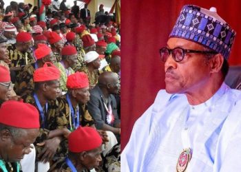 Ohanaeze calls on Buhari to Save Nigeria’s democracy