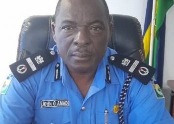 Police Confirms Amadi as DIG
