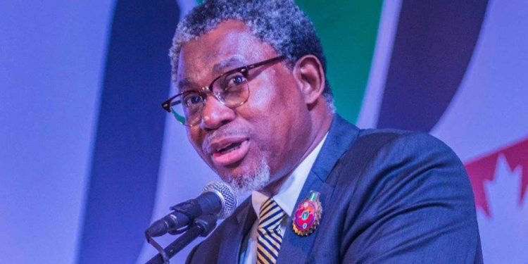 Mines Minister calls for protection of Solid Minerals