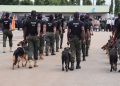 Police warns against sleeping with dogs