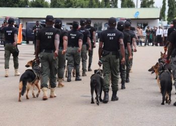 Police warns against sleeping with dogs