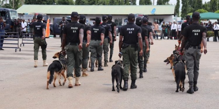 Police warns against sleeping with dogs