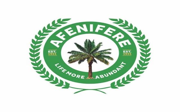 Afenifere urges FG to stem rising insecurity