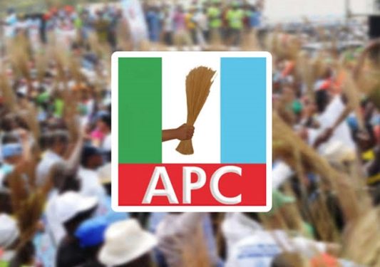 APC Ghana Chapter Urges Tinubu to Pick Female Running Mate