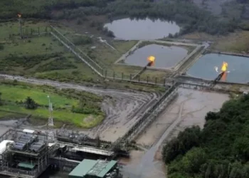 FG Awards 57 Marginal Fields to New Investors