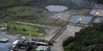 FG Awards 57 Marginal Fields to New Investors