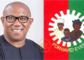 Labour Party Declares Obi Authentic Presidential Flag Bearer