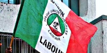 Labour Union Declares Support for Obi
