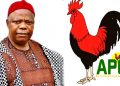 Umeadi emerges APGA Presidential Flag bearer