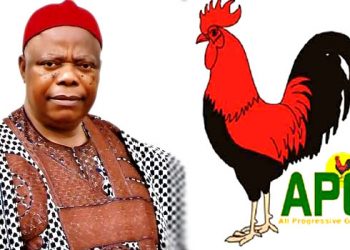 Umeadi emerges APGA Presidential Flag bearer