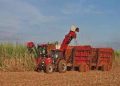 Foreign investment in Agricultural Sector drops by 99%