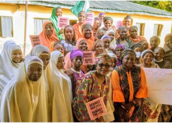 NAWOL advocates female running mate Candidate