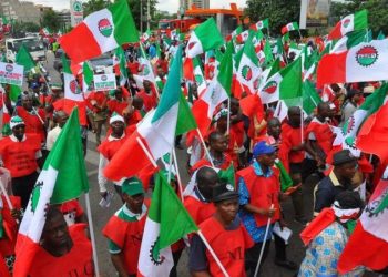 NLC seeks end to University Workers’ strike