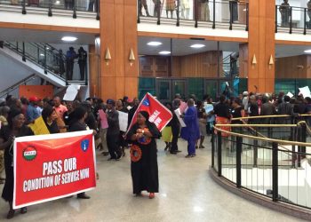 National Assembly Workers embark on strike