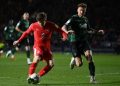 Watford calls off friendly against Qatar