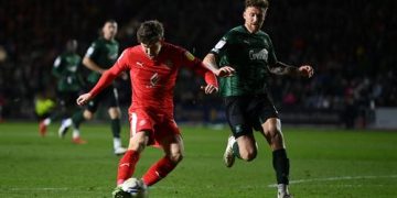 Watford calls off friendly against Qatar