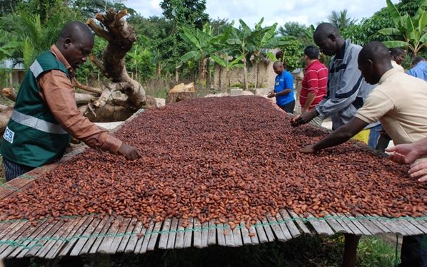 Cross River Supports Cocoa Farmers with Monthly Stipends
