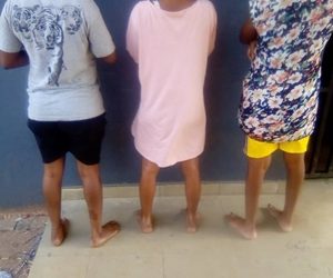 Delta Police Rescues Pregnant Women From Baby Factory