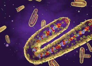 Ghana Records Additional Death from Marburg Virus