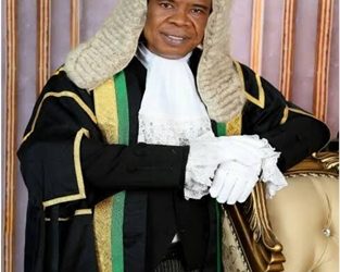 Court Orders Immigration Service to Release Details of Ukpo