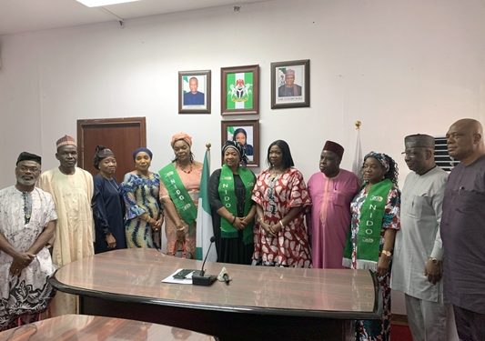 NiDCOM Advocates Diaspora Voting in Election