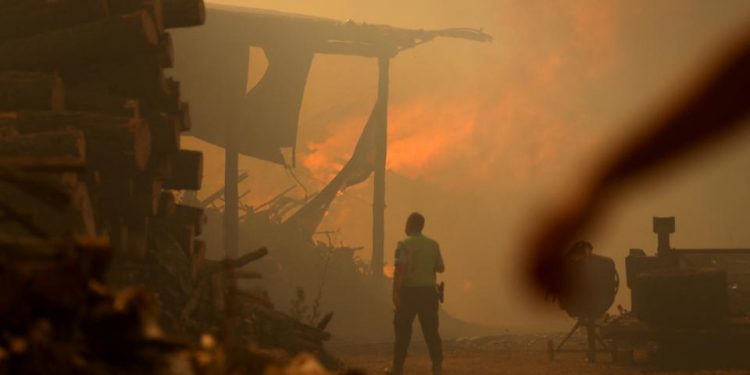 Portugal records 1000 deaths due to heat wave