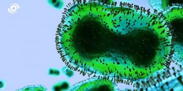 Bayelsa Government Confirms Case of Monkey Pox