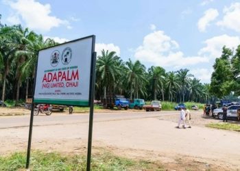 Egbema Communities Accuse Imo Government of Abandonment