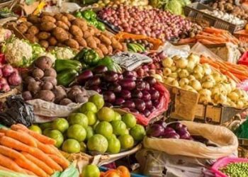 Fruits Sellers in Imo Reveal Factors Affecting Business