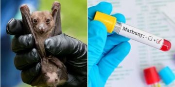 Ghana Records Another Marburg Virus Death