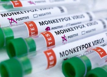 Imo Government Sensitizes Citizens on Monkey Pox
