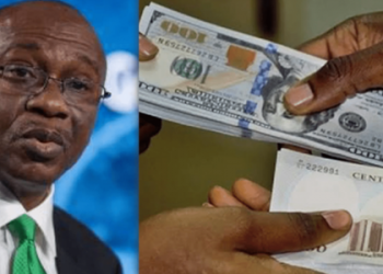 Naira Closes at N428 to a Dollar