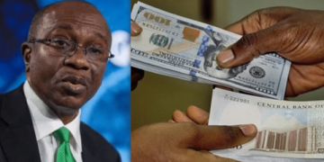 Naira Closes at N428 to a Dollar