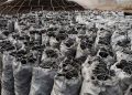 Price of Charcoal Increases