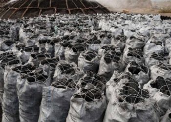 Price of Charcoal Increases