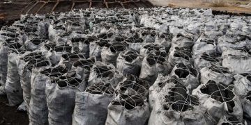 Price of Charcoal Increases