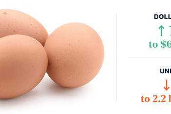 Price of Egg Records an Increase in Markets