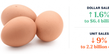 Price of Egg Records an Increase in Markets