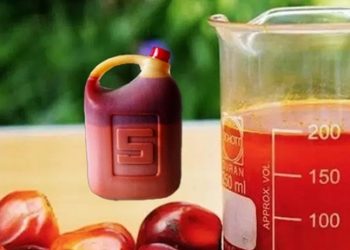 Prices of Palm Oil Increases