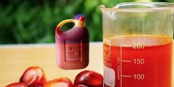 Prices of Palm Oil Increases
