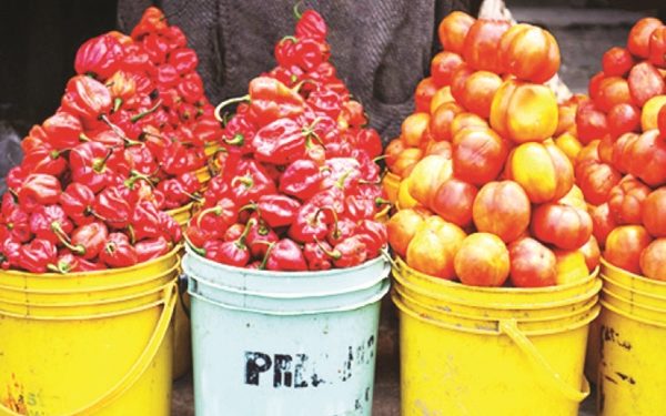 Prices of Tomatoes and Pepper Increases