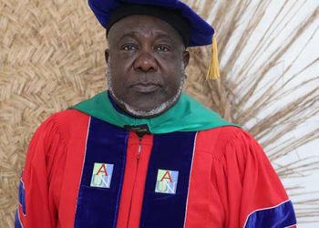 Magaji Urges INEC to Allows Diaporans to Vote