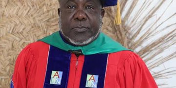 Magaji Urges INEC to Allows Diaporans to Vote